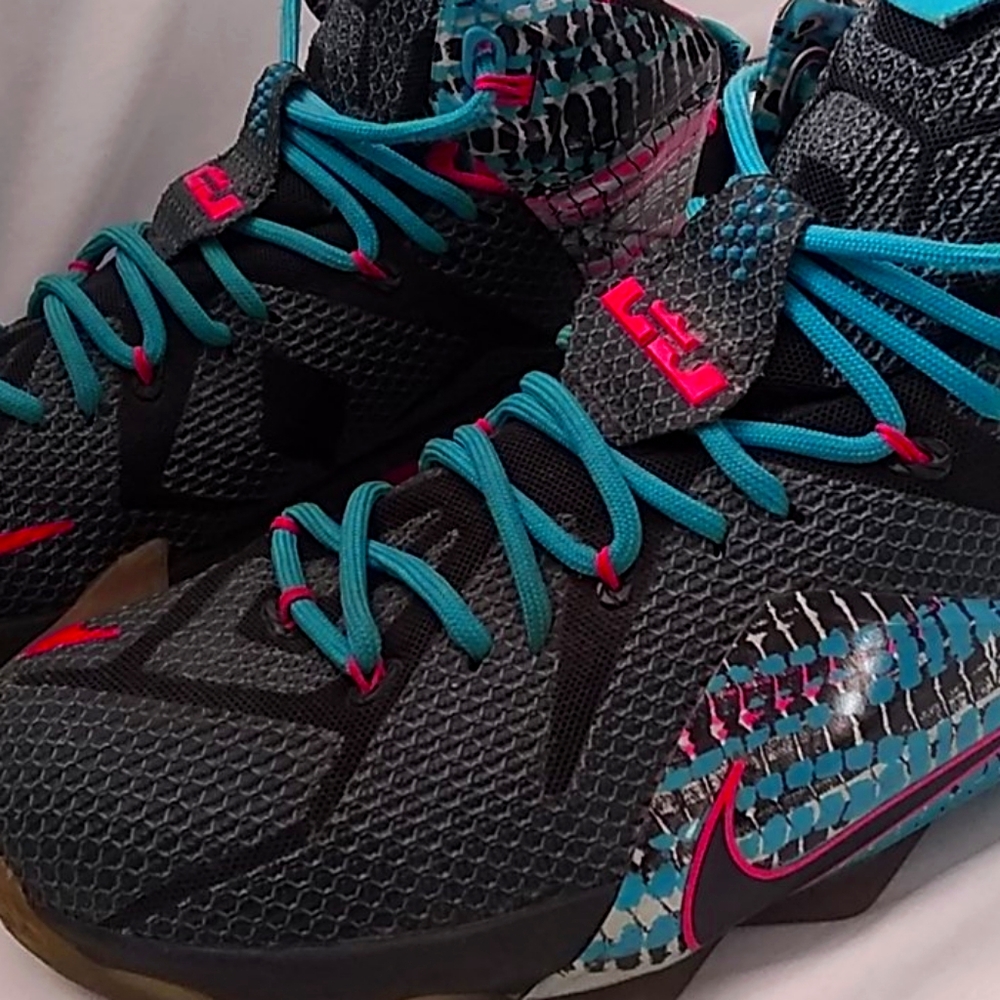 Lebron 12 size 9.5